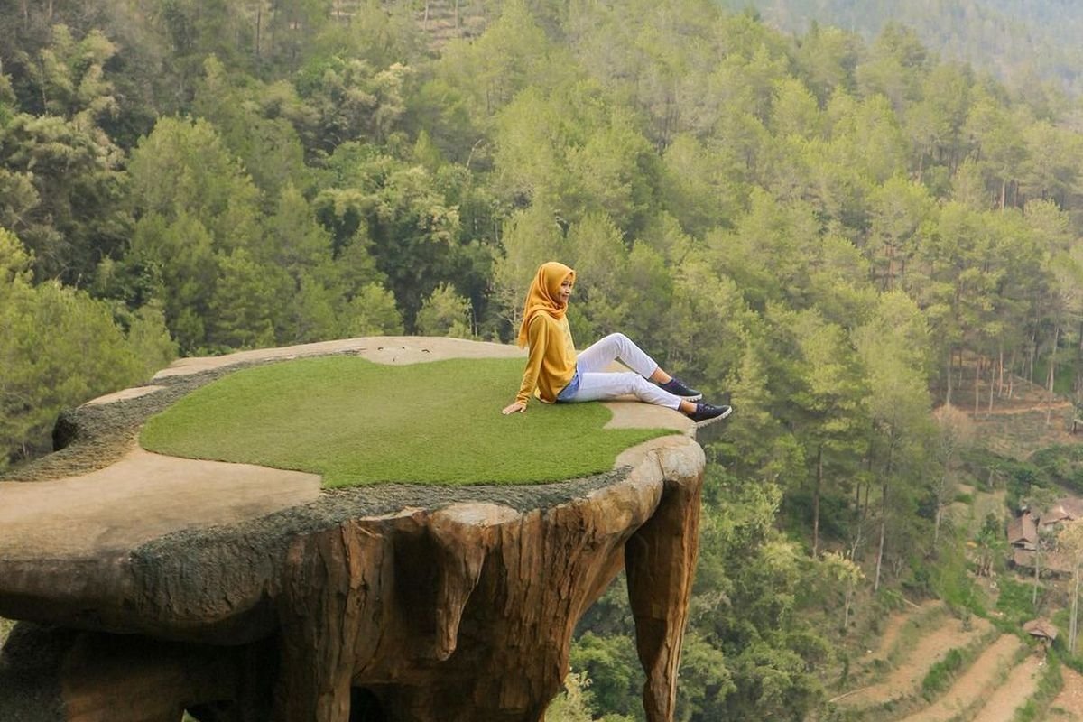 Goa Pinus